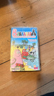 Delcampe - Cassette VHS « Barbapapa à La Découverte Des Animaux » - Animatie