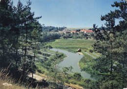 Delcampe - 91 MEREVILLE LES CRESSONNIERES - Mereville