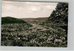 Delcampe - Eberbach Neckar Panorama - Eberbach