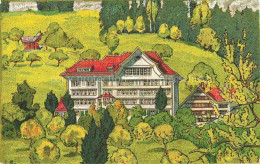 Delcampe - Teufen Appenzell AR Prof. Buser's Toechter-Institut Und Landerziehungsheim Kuens - Sonstige & Ohne Zuordnung