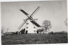 Delcampe - Herzele - Molen Ter Rijst - Herzele