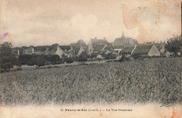 Delcampe - 37 NEUVY LE ROI - Neuvy-le-Roi