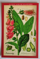 Delcampe - Postcard "Foxglove Purple." Ukraine, 2010. - Ukraine