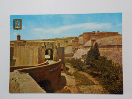 Delcampe - SALSES    Chateau Fort    Remarquable Ouvrage D'Art Militaire - Salses