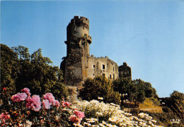 Delcampe - Environs De CHATELGUYON Chateau De Tournoel 5(scan Recto-verso) MA2109 - Châtel-Guyon