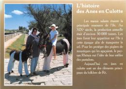Delcampe - IL DE RE L Histoire Des Anes En Culotte 11(scan Recto-verso) MA2183 - Ile De Ré