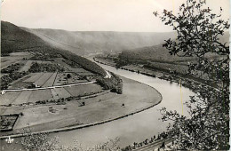 Delcampe - 08* REVIN    Vallee Meuse  CPSM Petit Format              MA84,0532 - Revin