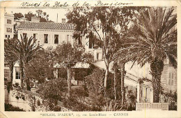 Delcampe - 06* CANNES « soleil D Azur «                   MA84,0371 - Cannes