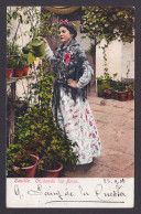Delcampe - Vintage Postcard, National Costume, Spain, Seville, Caring For Flowers - Trachten