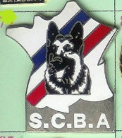 Delcampe - @@ Chien Carte De France Tricolore Société Du Chien De Berger Allemand S C B A EGF @@pol79 - Animali