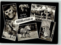 Delcampe - W7000 Bad Cannstatt Affe Panther Zebra Giraffe Tierparadies Wilhelmina E... - 39866018 - Sonstige & Ohne Zuordnung