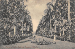 Delcampe - CPA INDE /  AVENUE OF PALMS BOTANICAL GARDENS / CALCUTTA - Indien