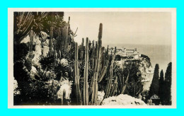 Delcampe - A897 / 405 MONTE CARLO Un Coin Du Rocher Et Jardins Exotiques - Monte-Carlo