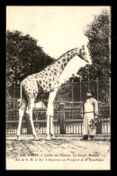 Delcampe - 75 - PARIS 5EME - JARDIN DES PLANTES - LA GIRAFE MENELIK DON DE M. LE ROI D'ABYSSINIE - Paris (05)