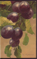 Delcampe - CP " Grappe De Prunes " - Sonstige & Ohne Zuordnung