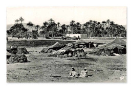 Delcampe - Campement De Nomades — Scènes & Types, CPA, Algérie - Szenen