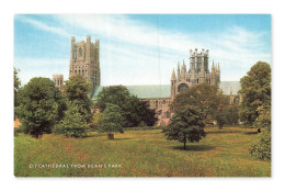 Delcampe - Ely Cathedral From Dean's Park, Ely — CPSM — Royaume-Uni - Ely