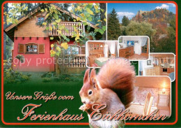 Delcampe - Oybin Sachsen Ferienhaus Eichhoernchen - Oybin