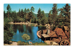 Delcampe - Beautiful Cedar Lake, Californie — Vue Pittoresque, Animé, CPA — États-Unis - San Bernardino