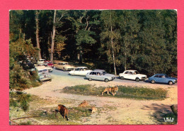 Delcampe - CP (Réf : Z 791) TRANSPORT AUTOMOBILE VOITURE DE TOURISME CITROËN (DS, ID, ) - PKW