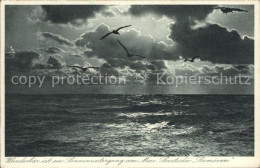 Delcampe - BORKUM Nordseebad Niedersachsen Sonnenuntergang Am Meer Seestudie Seemoeven - Borkum