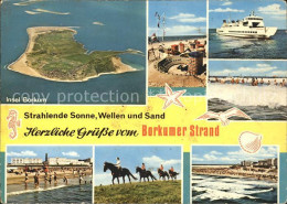 Delcampe - BORKUM Nordseebad Niedersachsen Fliegeraufnahme Strandburg Faehre Strandreiten B - Borkum