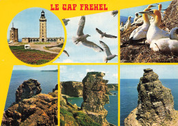 Delcampe - 22 LE CAP FREHEL - Cap Frehel