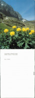 Delcampe - Slowakei Tatranský Národný Park/Tatra-Nationalpark - Blumen 1990 - Slowakei