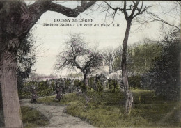 Delcampe - CPA Boissy St Leger Maison Nobis Un Coin Du Parc - Boissy Saint Leger