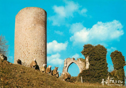 Delcampe - CHALUS église Et Donjon De La Forteresse Chateau Chabrol 23 (scan Recto-verso)MA2277Ter - Chalus