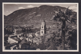 Delcampe - Vintage Postcard Merano Panorama St Nicholas Church Palm Tree South Tyrol Italy - Merano