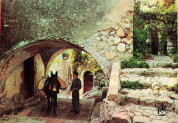 Delcampe - 06 EZE VILLAGE ANCIENNE CHAPELLE DES PENITENTS BLANCS - Eze