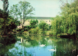 Delcampe - 59  SAINT AMAND LES EAUX ETABLISSEMENT THERMAL - Saint Amand Les Eaux