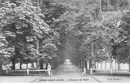 Delcampe - BOISSY SAINT LEGER - L'Avenue Du Piple - Très Bon état - Boissy Saint Leger