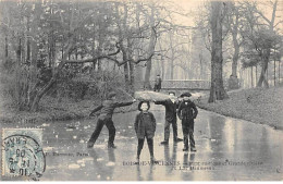 Delcampe - Bois De VINCENNES - Pont Rustique Et Grande Rivière Du Lac Daumesnil - Très Bon état - Vincennes