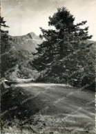 Delcampe - CPM L'Auvergne Le Puy Mary Route De Salers - Auvergne