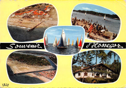 Delcampe - 40-HOSSEGOR-N°543-A/0031 - Hossegor