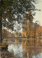 Delcampe - Carte Postale - 78 - Le Vésinet - Les Ibis - CPM - Voir Scans Recto-Verso - Poscard - Carta Postal -  Postkarte - Le Vésinet