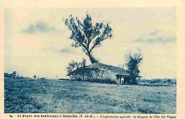 Delcampe - Carte Postale Ancienne - 82 - Réalville - Le Foyer Des Indirectes - L'exploitation Agricole - La Bergerie Du Clos Des Vi - Realville
