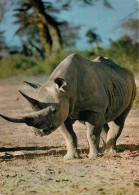 Delcampe - Carte Postale - Animaux - Rhinocéros - Faune Africaine - CPM - Voir Scans Recto-Verso - Rhinozeros