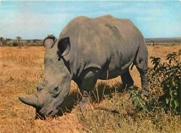 Delcampe - Carte Postale - Animaux - Rhinocéros - Parc Zoologique De Paris - Zoo - CPM - Voir Scans Recto-Verso - Rhinozeros