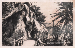 Delcampe - MONACO MONACO LES JARDINS EXOTIQUES - Sonstige & Ohne Zuordnung