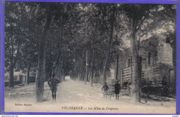 Delcampe - Carte Postale 13. Pélissanne  Les Allées De Craponne Très Beau Plan - Pelissanne