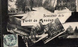 Delcampe - CPA Meudon Foret De Souvenir - Meudon