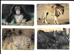Delcampe - X093 - IMAGES KELLOGGS - LION GUEPARD ZEBRE CHIMPANZE - Autres & Non Classés