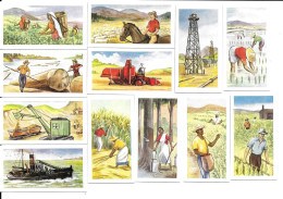 Delcampe - BP01 - SERIE COMPLETE 12 CARTES CIGARETTES - PRODUCTS OF THE WORLD - PRODUITS DU MONDE - Autres & Non Classés