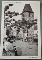 Delcampe - CPM SPORT PETANQUE PARTIE DE BOULES TERRE DE CORREZE SOUS LES PLATANES VARETZ JUIN 1991 PLACE VILLAGE - Boule/Pétanque
