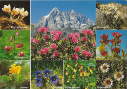Delcampe - AK DE BLUMEN - Blumen