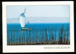 Delcampe - Le Bassin D'arcachon Devant La Dune Du Pilat édition Cim UU1563 - Arcachon
