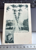 Delcampe - CPA BRESIL BRASIL RIO DE JANEIRO - JARDIM BOTANICO - Rio De Janeiro